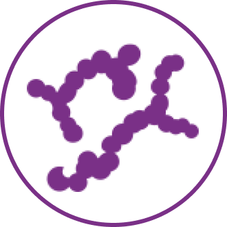 Learn more about pneumococcal pneumonia